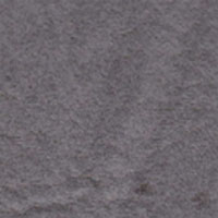 Vinyl spa cover Ash color swatch