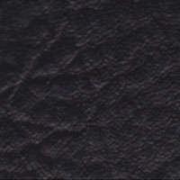 Vinyl spa cover Black color swatch
