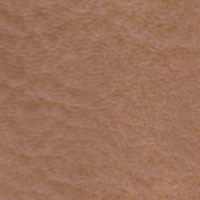Vinyl spa cover Palomino color swatch