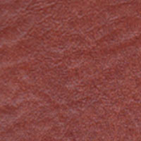 Vinyl spa cover Rust color swatch