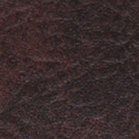 Vinyl spa cover Walnut color swatch